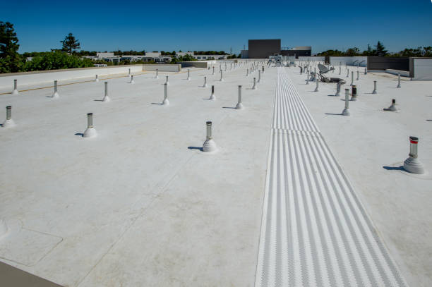 Best Roof Maintenance and Cleaning  in Greenwich, OH